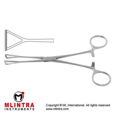 Duval Intestinal and Tissue Grasping Forceps Wide Jaw Stainless Steel, 23 cm - 9" Duval Intestinal and Tissue Grasping Forceps Wide Jaw Stainless Steel, 23 cm - 9"